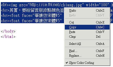 chat009.jpg (31360 bytes)