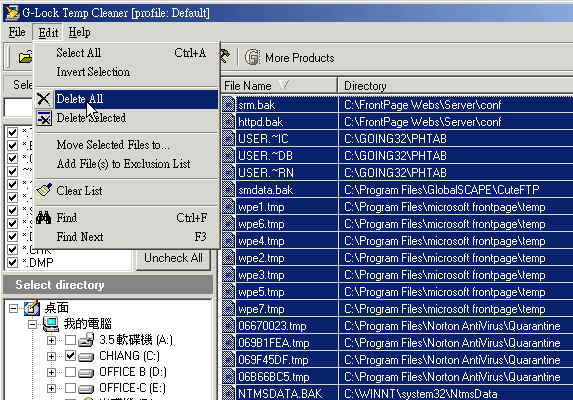 cleaner03.jpg (62554 bytes)